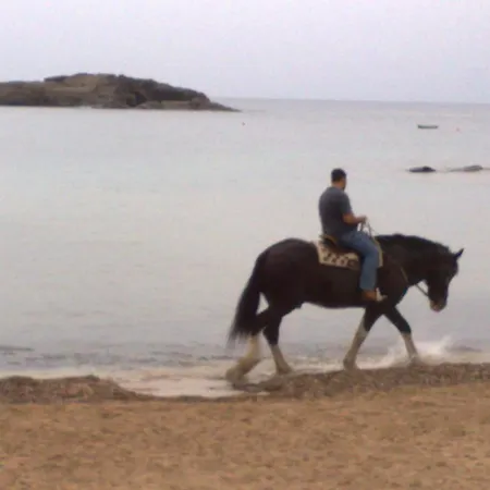 La Pineta 3*